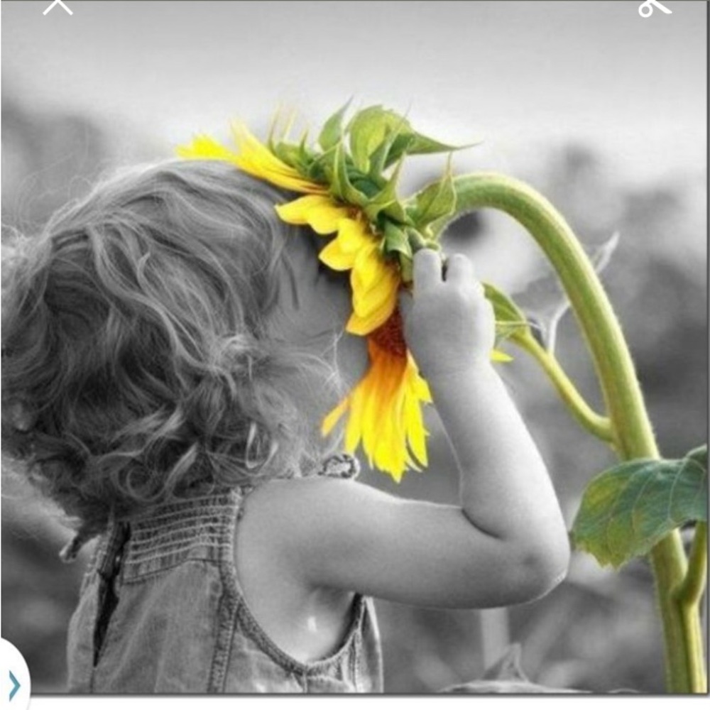 Sunflowers!!